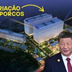 Nova tecnologia agrícola da China: Veja fazendas verticais com IA, robôs colhedores e tratores autônomos que transformam a produção de alimentos.