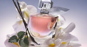 Esses 3 contratipos nacionais entregam performance de perfumes importado