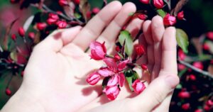 Os melhores perfumes para mulheres de 2025 – L'Ass Express
