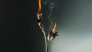 As principais tendências de fragrâncias do outono são bem -vindas a temporada de bruxas