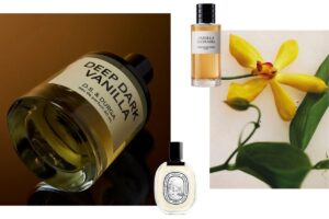 Os melhores perfumes de baunilha para deixá -lo cheirando irresistível