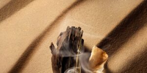 Os melhores perfumes intensos outono inverno 2024