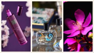 Perfumos econômicos de qualidade: as 10 melhores fragrâncias de baixo custo