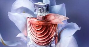 Boots oferece lida com perfume com enormes economias em ópio preto ysl, chefe, lancôme, Dior e muito mais