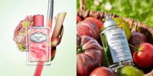 Os perfumes vegetais são tendências