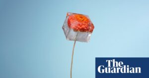 Sali Hughes sobre beleza: os melhores perfumes para o inverno