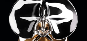 Marc Quinn traz flores esculturais para a fragrância J’adore da Dior