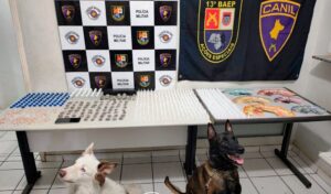 Incursão do baep com Canil Aprende Drogas e Lança-Perfume Em Marília