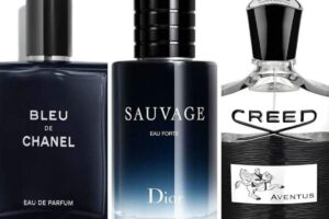 Descubra os 7 perfumes masculinos mais desejados do mundo em 2025