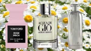 aromas brilhantes e doces de Tom Ford, YSL e mais