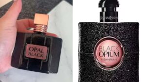 ‘Adoro este’, dizem os fãs de beleza enquanto elogiam um idiota de £ 2 de Black Opium