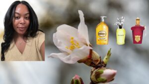 As 10 melhores fragrâncias e óleos de amêndoa para um aroma gourmet aconchegante