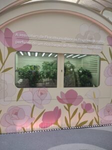 Com uso de “nariz digital”, nova fragrância do Boticário reproduz aroma de flores sem poda