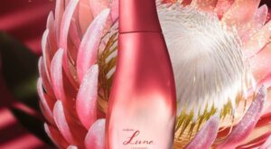 4 perfumes da Natura com fixação de importado para usar no Natal