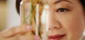 o guia da Natura para presentear nesse Natal