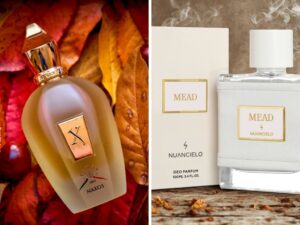 Sem condições para comprar o perfume importado Naxos da XerJoff? Veja os nacionais baratos e semelhantes