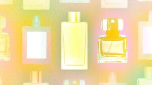 perfumes frutados, perfumes Matcha, perfumes de caxemira e muito mais